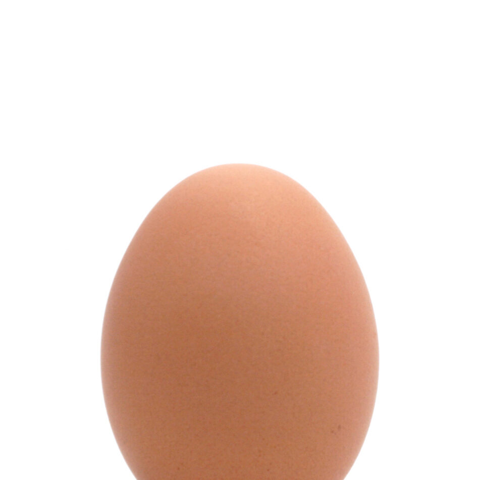 small egg